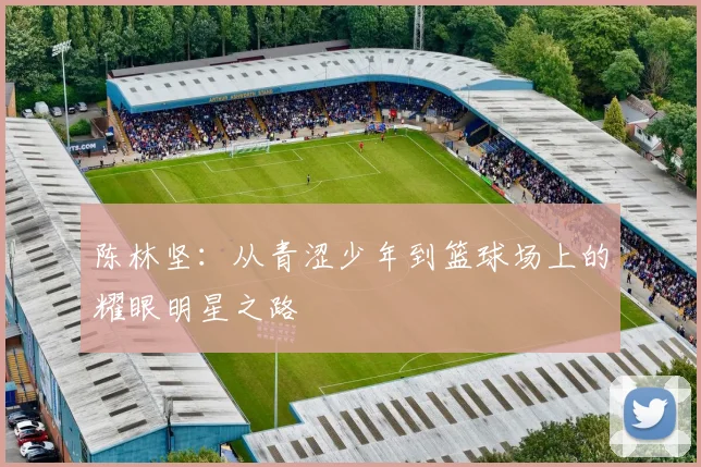 陈林坚：从青涩少年到篮球场上的耀眼明星之路