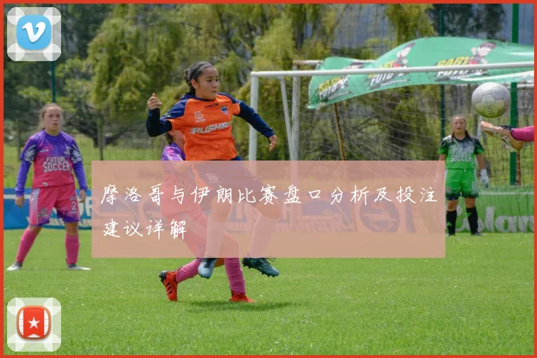 摩洛哥与伊朗比赛盘口分析及投注建议详解