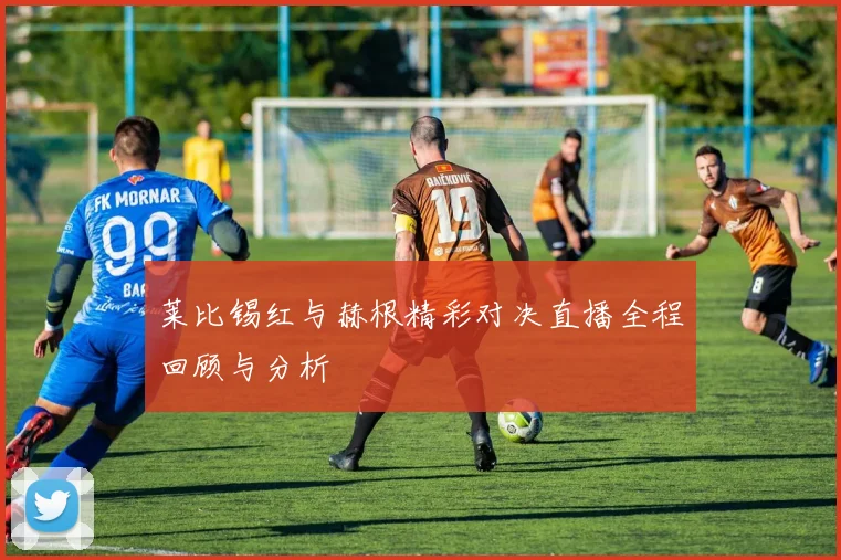 莱比锡红与赫根精彩对决直播全程回顾与分析