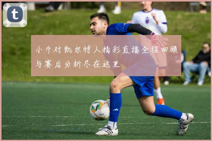 小牛对凯尔特人精彩直播全程回顾与赛后分析尽在这里