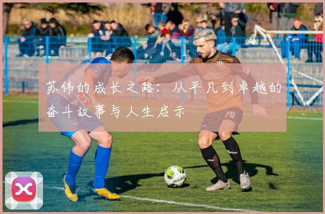 苏伟的成长之路：从平凡到卓越的奋斗故事与人生启示